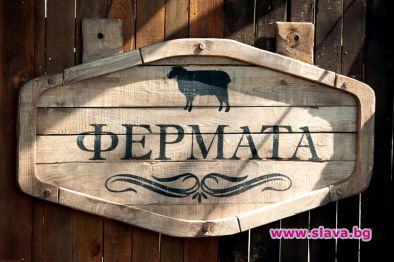 Трупата на Нешка Робева танцува на фона на царските каляски