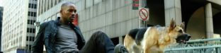 460x177.jpg