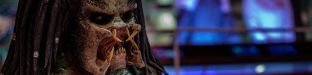 gallery_60496.jpg
