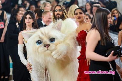 slava.bg : Джаред Лето като котка на Мет Гала slava.bg : Джаред Лето като котка на Мет Гала