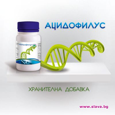 slava.bg : Ацидофилус slava.bg : Ацидофилус