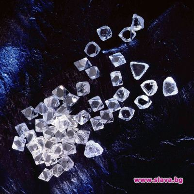slava.bg : Lux Only в София slava.bg : Lux Only в София