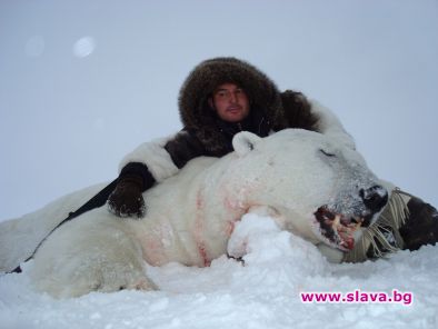 Бяла мечка за 60 хиляди долара за шефа на БЕЛЛА - България
