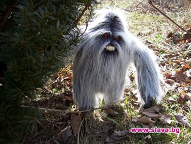 Йети е съществувал?