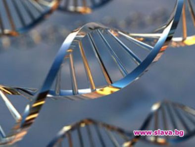 Откриха връзка между географията и гените