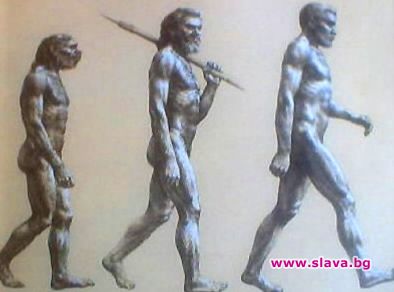 Човекът не произлиза от шимпанзето?