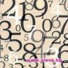 2009 под знака на Господарското число