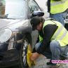 Таксите за паяк и скобите в София се оказаха незаконни