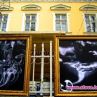 Уникална изложба на жълтите павета разказва за различните зависимости в съвременното общество
