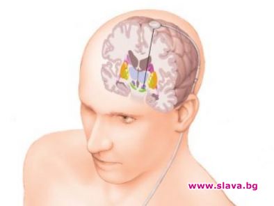 Американски учени установиха, че битието определя съзнанието