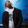 Method Man призна за укрити данъци