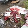 Повече човечност към животните
