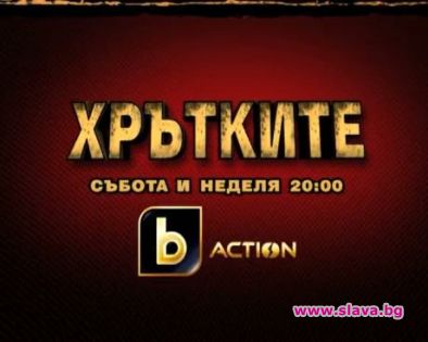 Най-бруталните интернет игри, таксита в издънка и секс-компромати този уикенд в „Хрътките”
