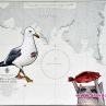 Северното Черноморие посреща юли с тридневен арт уикенд