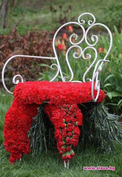 Цветни морски ревюта стартират край Балчик за Джулая