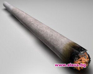 Друсана трева - новата дрога по морето