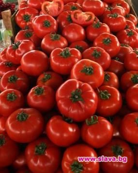 Кон за кокошка - Lada-2107 за домат