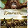 "Дивачета" идва в София през септември