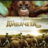 "ДИВАЧЕТА" превзеха Imax София