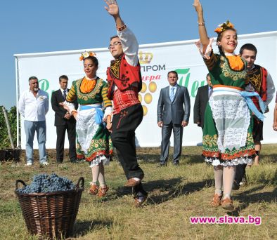 Винпром Пещера откри гроздобера