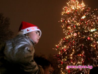 800 метра крушки на елхата в София