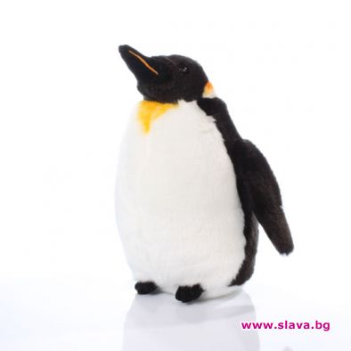 Полицай спаси плюшен пингвин