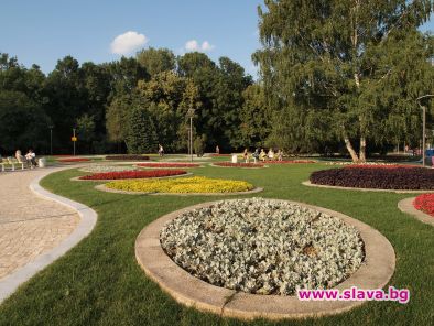 23 градуса в понеделник