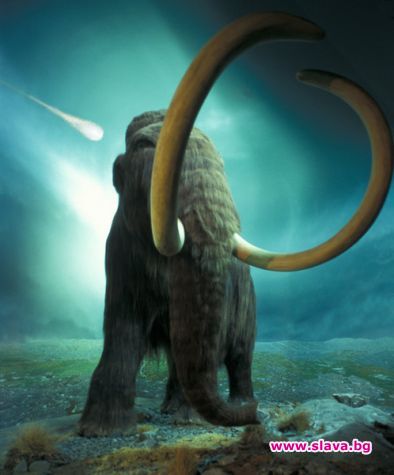 Учени ще клонират мамут 