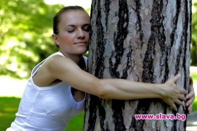 Мацка се натиска с дърво 