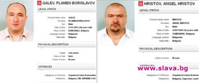 Братя Галеви изпрали 35.5 млн. лв.