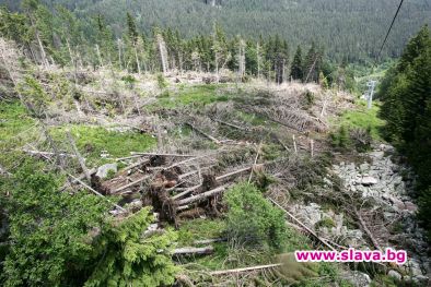 Фандъкова: Пожарът на Витоша не е случаен