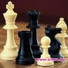 Осемгодишно българче стана европейски шампион по шах 