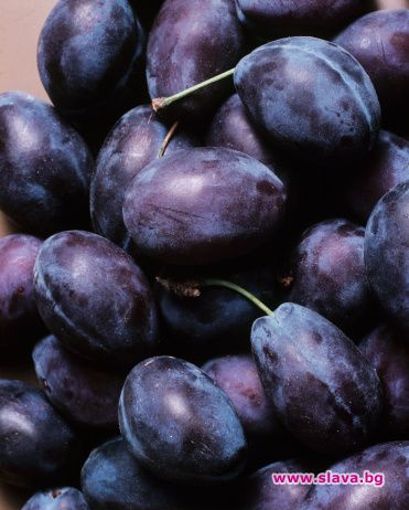 Срам ли ни е да си купим две кила сливи?