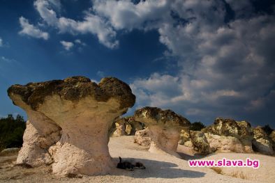 Скали от зеолит в Родопите лекуват рак