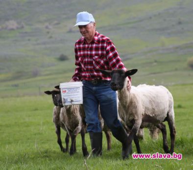 Животните в Германия заплашени от извратеняци