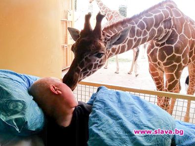 Приятели завинаги