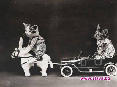  Хари Уитиър Фрийс  и уцелването на подходящия момент.