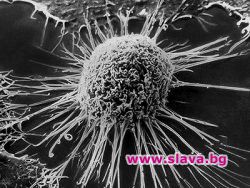 Всички имаме ракови клетки