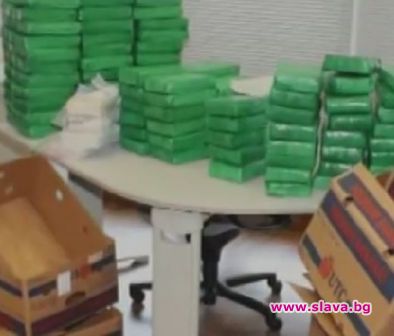 Кокаин вместо банани доставили в португалски магазин на „Лидл”