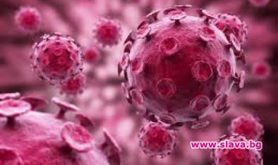 Случай на бубонна чума в Китай