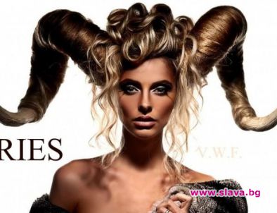 Чака ни магична година на овцата