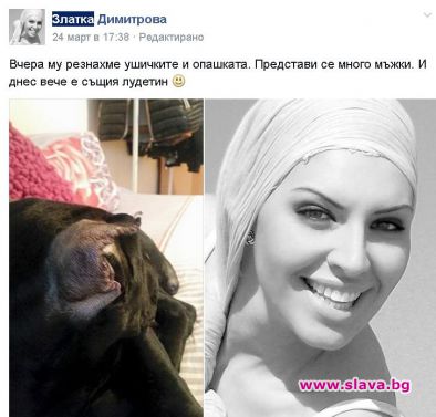 Черната Златка окастрила кучето си за негово добро