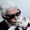 Котката на Лагерфелд - милионерка