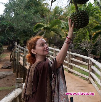  Медитация “Как да се храним и да постигнем идеалното тегло и тяло”
