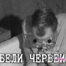 Подложиха Гъмов, Светлана и Катя на най-големите им фобии