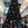 Коледната елха на София Ринг Мол грейна