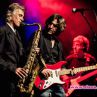 Броени дни до Тhe Dire Straits Experience