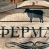 Хитова чалга фурия влиза във Фермата