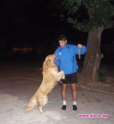 Прокурор спря разследването за убийството на лабрадора Цезар