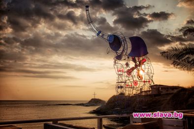 Слон с перки цъфна на Джулай морнинг 